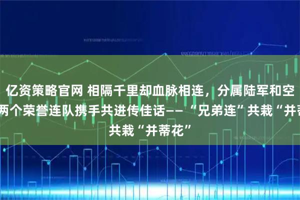 亿资策略官网 相隔千里却血脉相连，分属陆军和空军的两个荣誉连队携手共进传佳话—— “兄弟连”共栽“并蒂花”